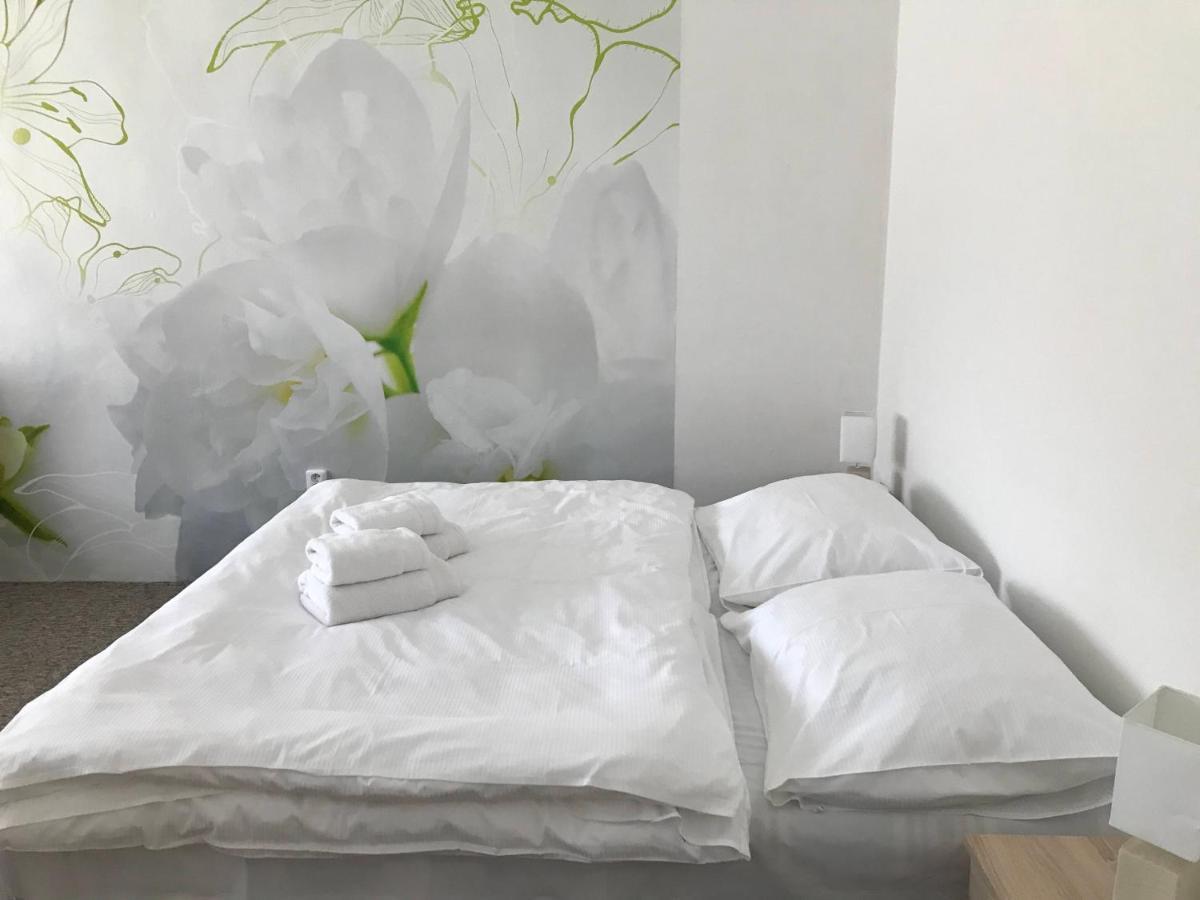 Апартаменты Apartman Na Namesti Opocno Экстерьер фото
