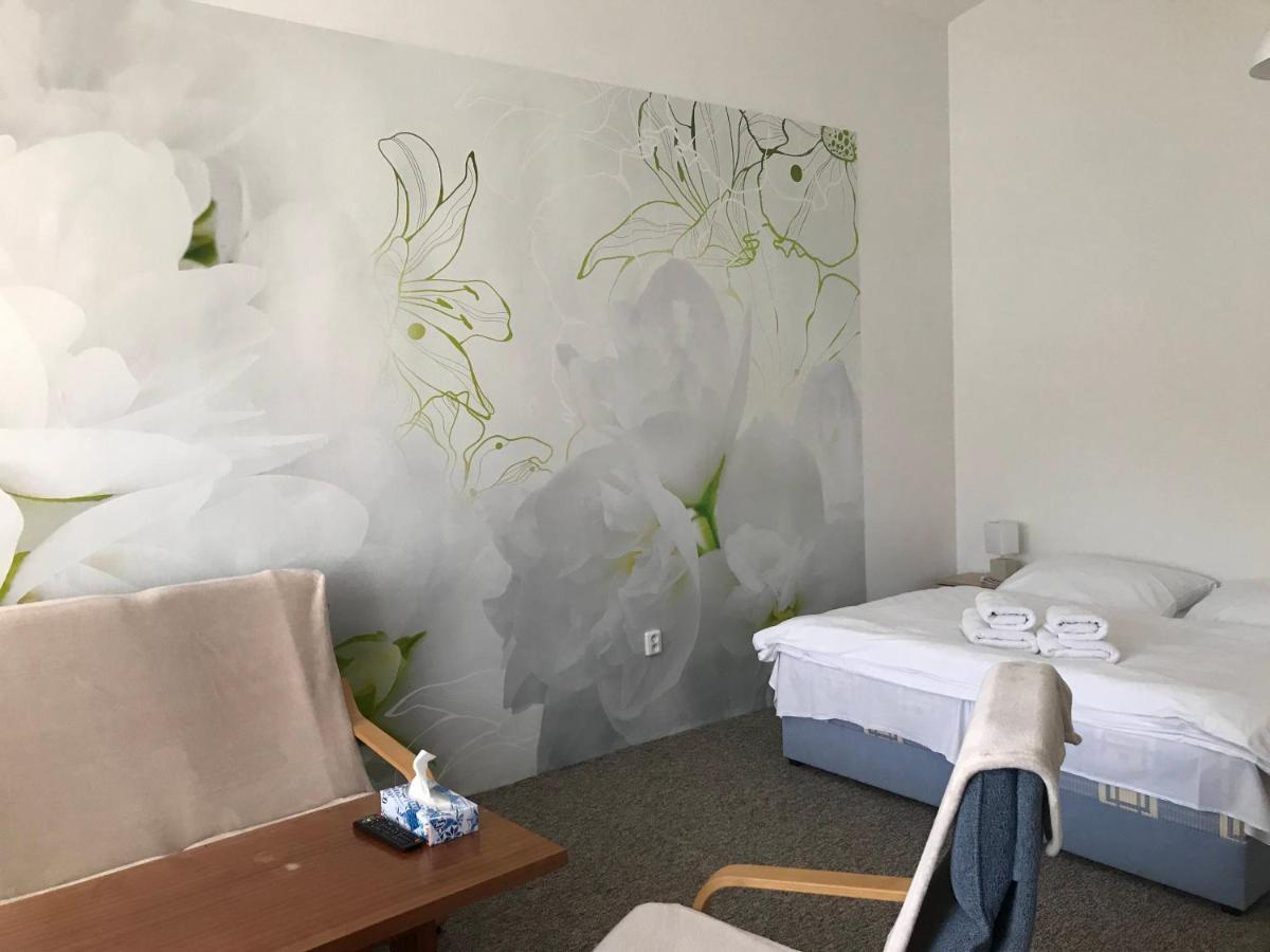 Апартаменты Apartman Na Namesti Opocno Экстерьер фото