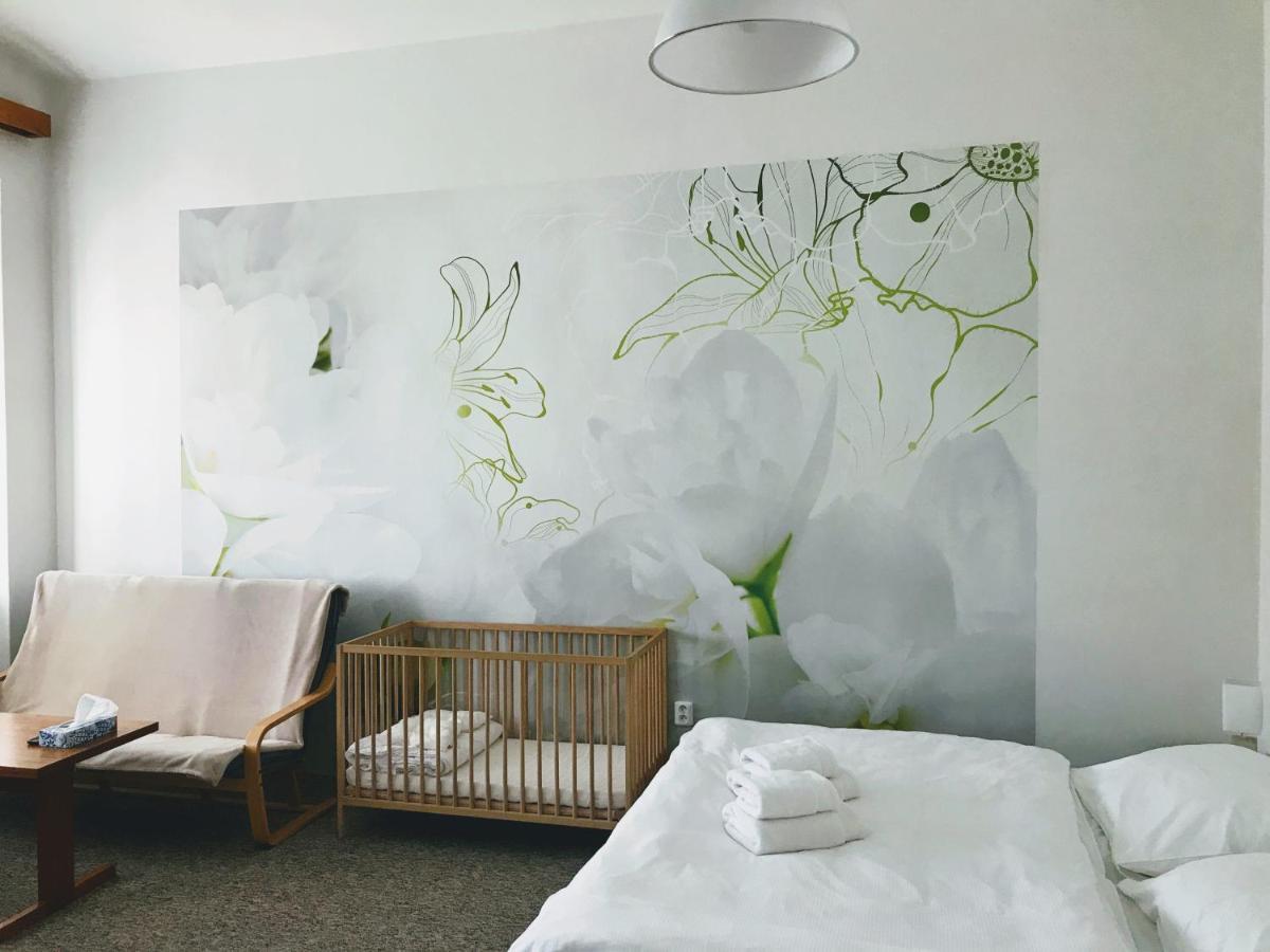 Апартаменты Apartman Na Namesti Opocno Экстерьер фото